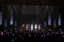 合い言葉は「LOVE＆P’s」！“animeloLIVE! きゃにめ.jp presents P’s Live 01”レポート