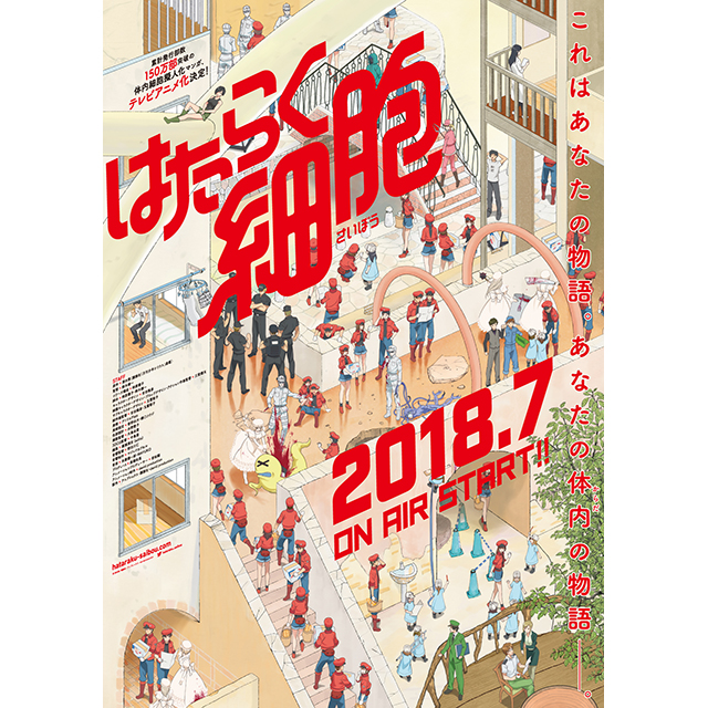 体内細胞擬人化マンガ「はたらく細胞」TVアニメ化決定！2018年7月放送開始！キービジュアル・アニメ化発表PV＆スタッフ情報解禁！アニメ公式サイトもオープン！ - 画像一覧（2/4）