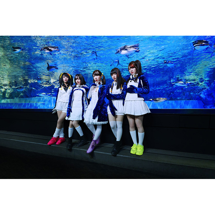 世界ペンギンの日にメジャーデビューするPPP（ペパプ）のアルバム収録内容が明らかに！水族館撮影による初回盤ジャケ写＆アー写も公開！オリ特絵柄も一斉公開！ - 画像一覧（2/4）