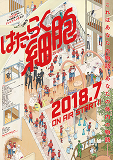 ClariS、ZeppTour終演！今夏リリースのニューシングル「CheerS」がTVアニメ『はたらく細胞』のEDテーマに大決定！ - 画像一覧（5/5）