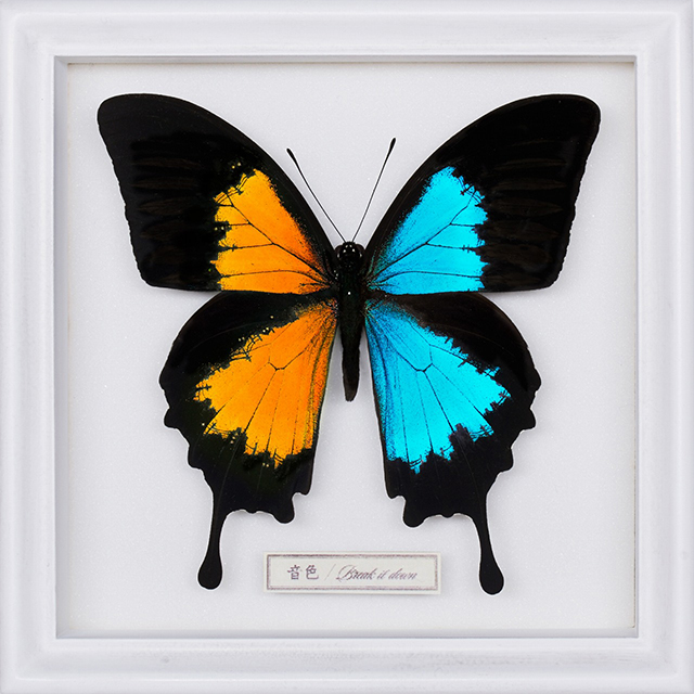 FLOWの新曲が「NARUTO×BORUTOボルティカルジェネレーションズ」のテーマ・ソングに決定！シングルリリースイベントはラクーアで開催！ - 画像一覧（1/3）