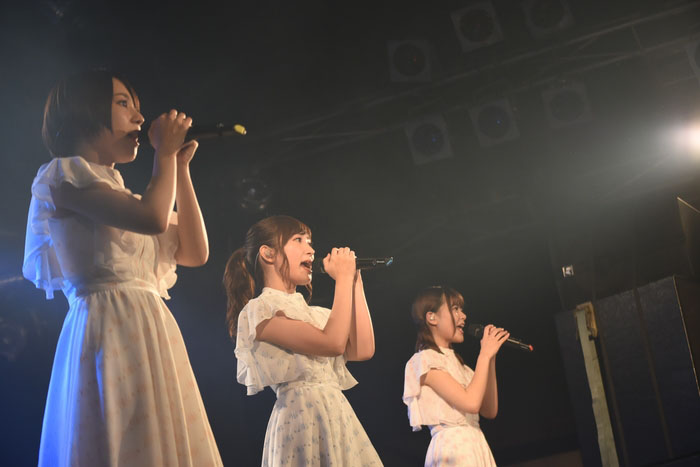 Studyワンマンライブ“PROGRESSIVE”横浜公演オフィシャルレポートが到着！