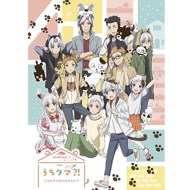 Promotional image for the TV anime Uchi Tama?! ~Don't You Know My Tama?~ announcing its second commercial, opening theme and broadcast details