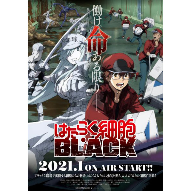 『はたらく細胞BLACK』2021年1月TVアニメ化決定！PV＆キービジュアル＆メインスタッフ・キャストを一挙公開！ - 画像一覧（2/2）