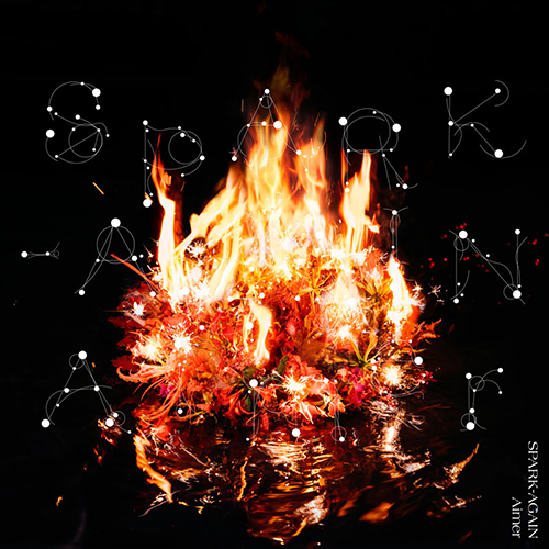 Aimer、デビュー9周年を記念して、最新シングル「SPARK-AGAIN」収録の新曲「悲しみの向こう側」のスタジオライブ映像をデビュー日9月7日にYouTubeプレミア公開決定！ - 画像一覧（5/5）