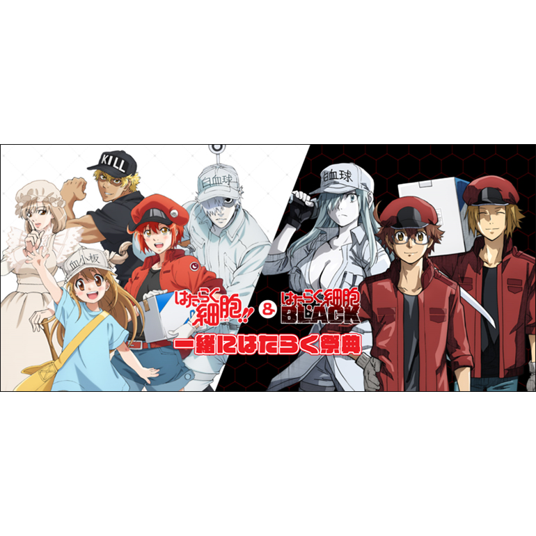 『はたらく細胞!!』＆『はたらく細胞BLACK』合同イベント「一緒にはたらく祭典」開催決定！ - 画像一覧（2/4）