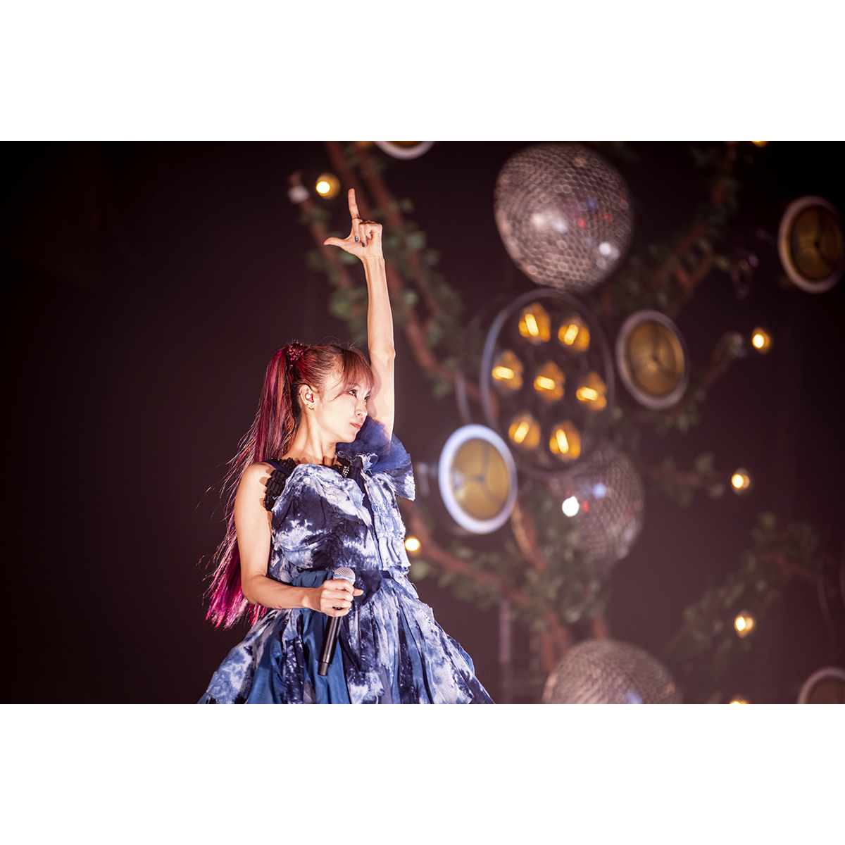 LiSA、ライブBlu-ray&DVD『LiVE is Smile Always～Eve＆Birth～「the