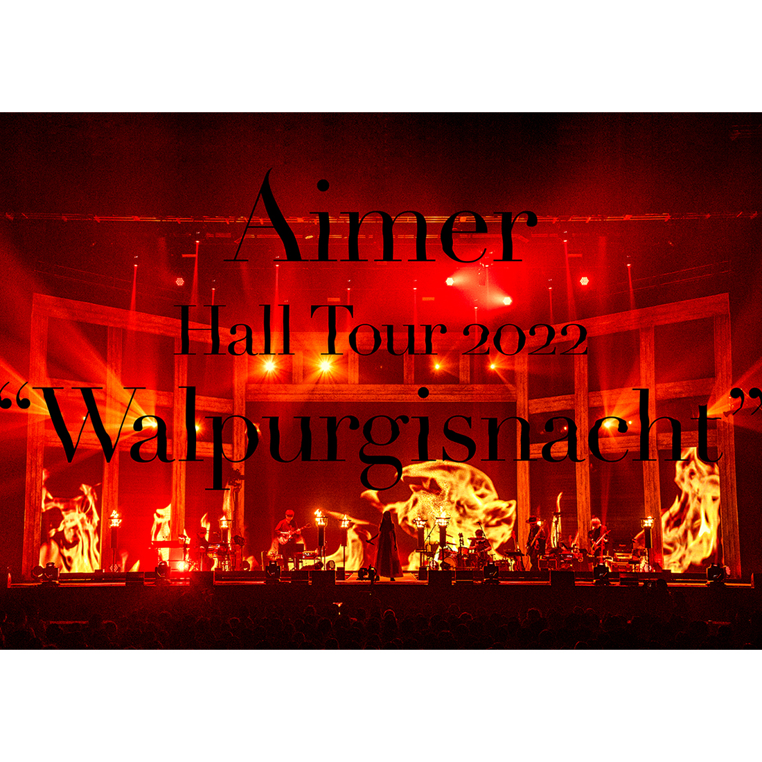 Aimer ドラマ『結婚するって、本当ですか』主題歌決定！12月14日にミニアルバムも発売！ - 画像一覧（1/6）
