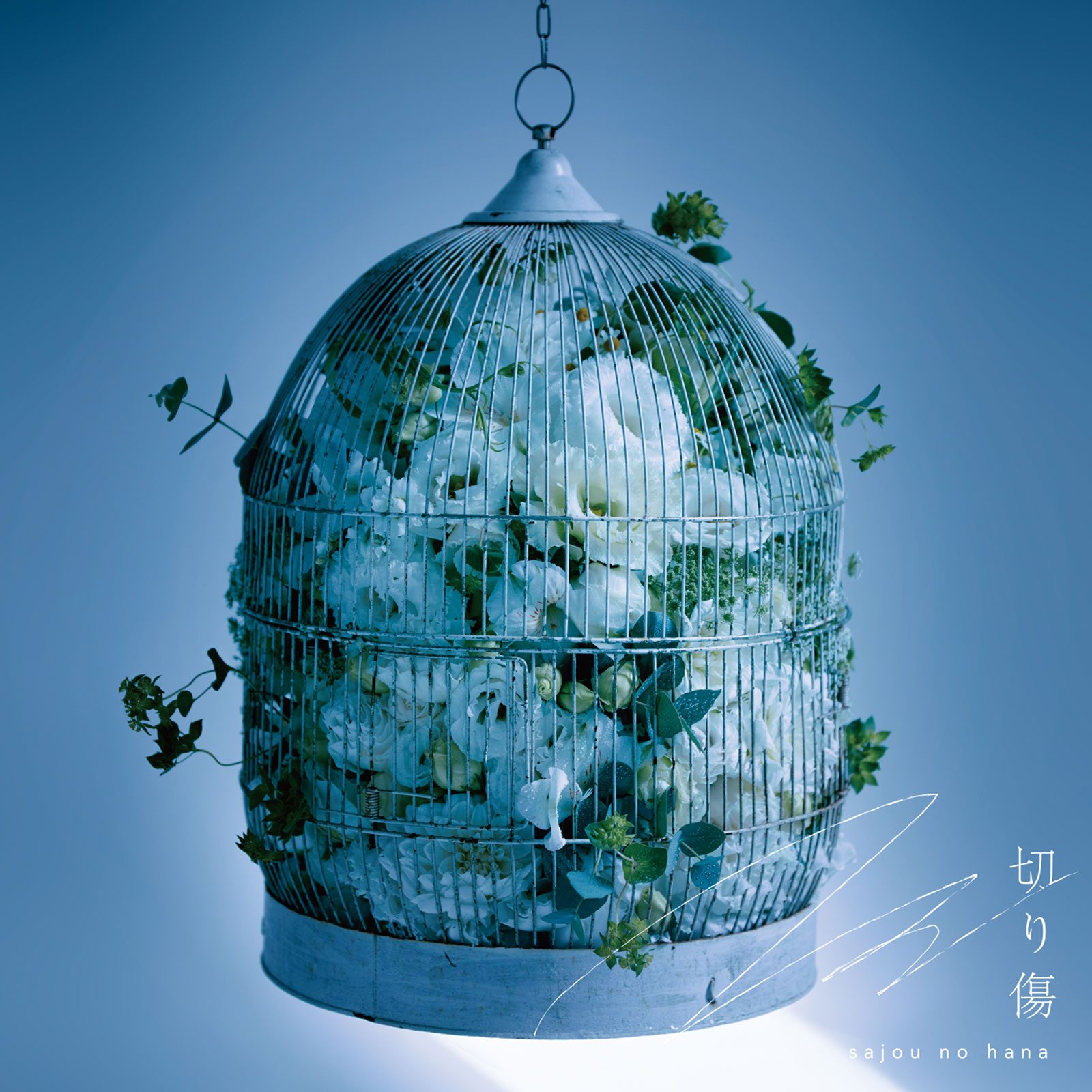 『ダンまちⅣ 深章 厄災篇』EDで描いたsajou no hanaの新境地　渡辺 翔、キタニタツヤ、sana、極上バラードナンバー「切り傷」を語る - 画像一覧（1/6）