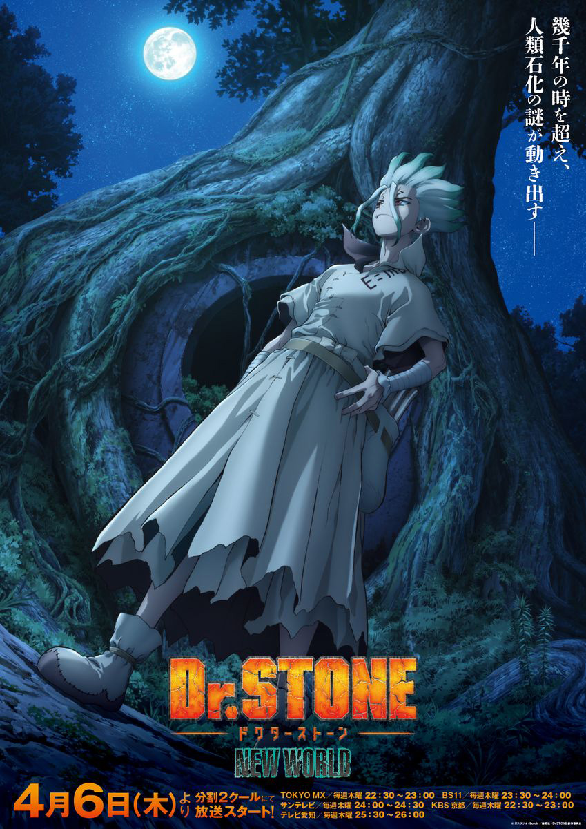 アニメ第3期『Dr.STONE NEW WORLD』メインビジュアル解禁！EDテーマはOKAMOTO’Sに決定！