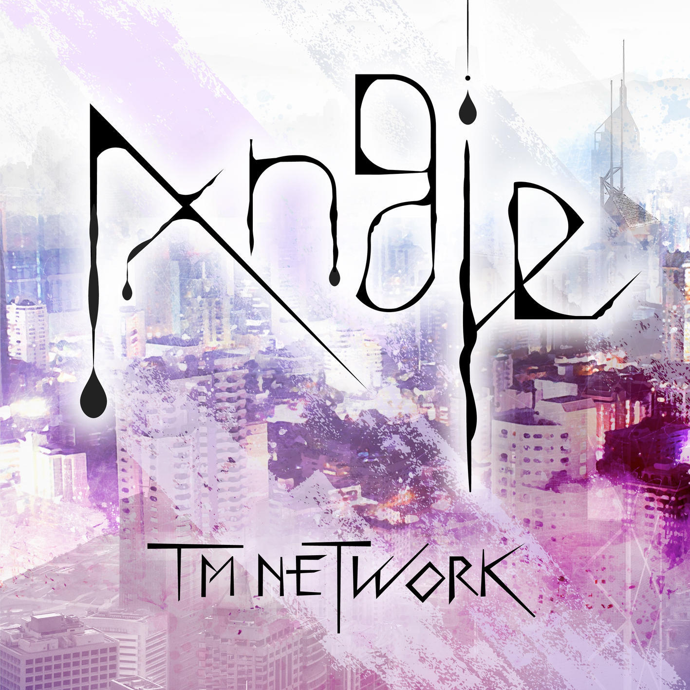 【アニソンランキング 12月第1週】緑黄色社会「花になって」が見事1位に返り咲き！TM NETWORK「Angie」が初登場 - 画像一覧（6/12）