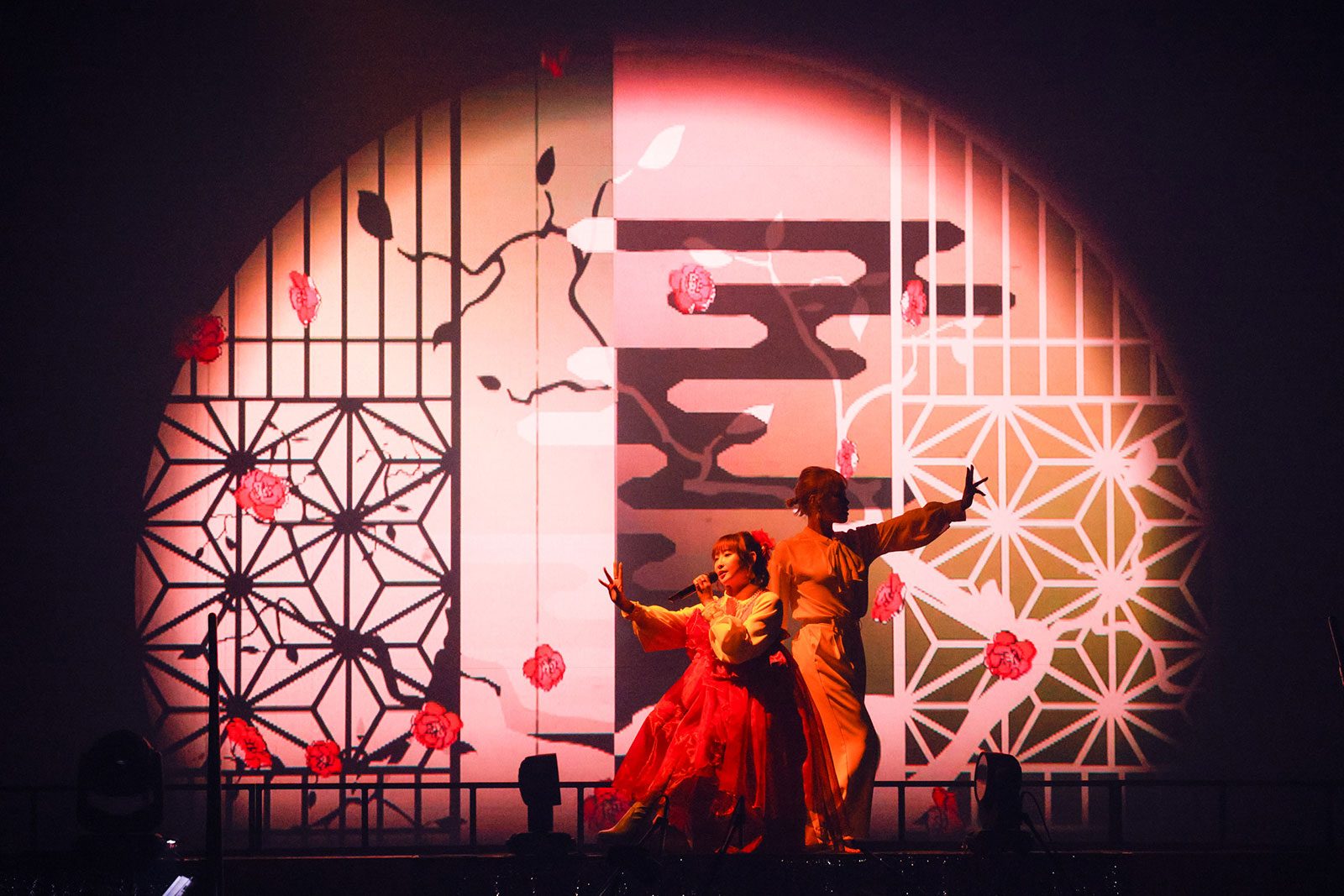 画面の向こうの私も、観ている私も、2人とも笑顔だった！“南條愛乃 10th Anniversary Live -FUN! & Memories-”Blu-rayリリースインタビュー - 画像一覧（3/14）