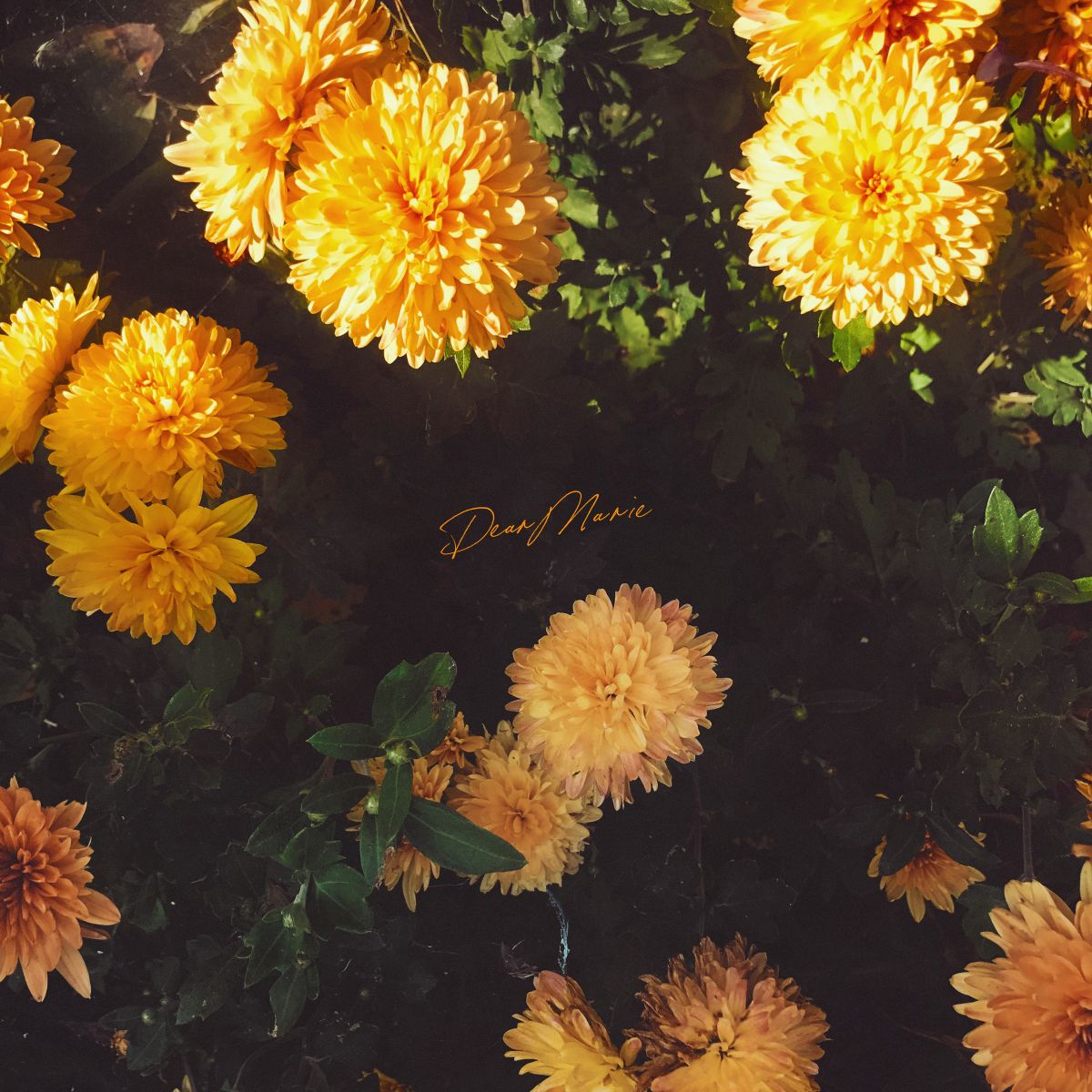 Myuk、TVアニメ『ずたぼろ令嬢は姉の元婚約者に溺愛される』EDテーマ「マリー」9月3日にCD化決定！ - 画像一覧（2/4）