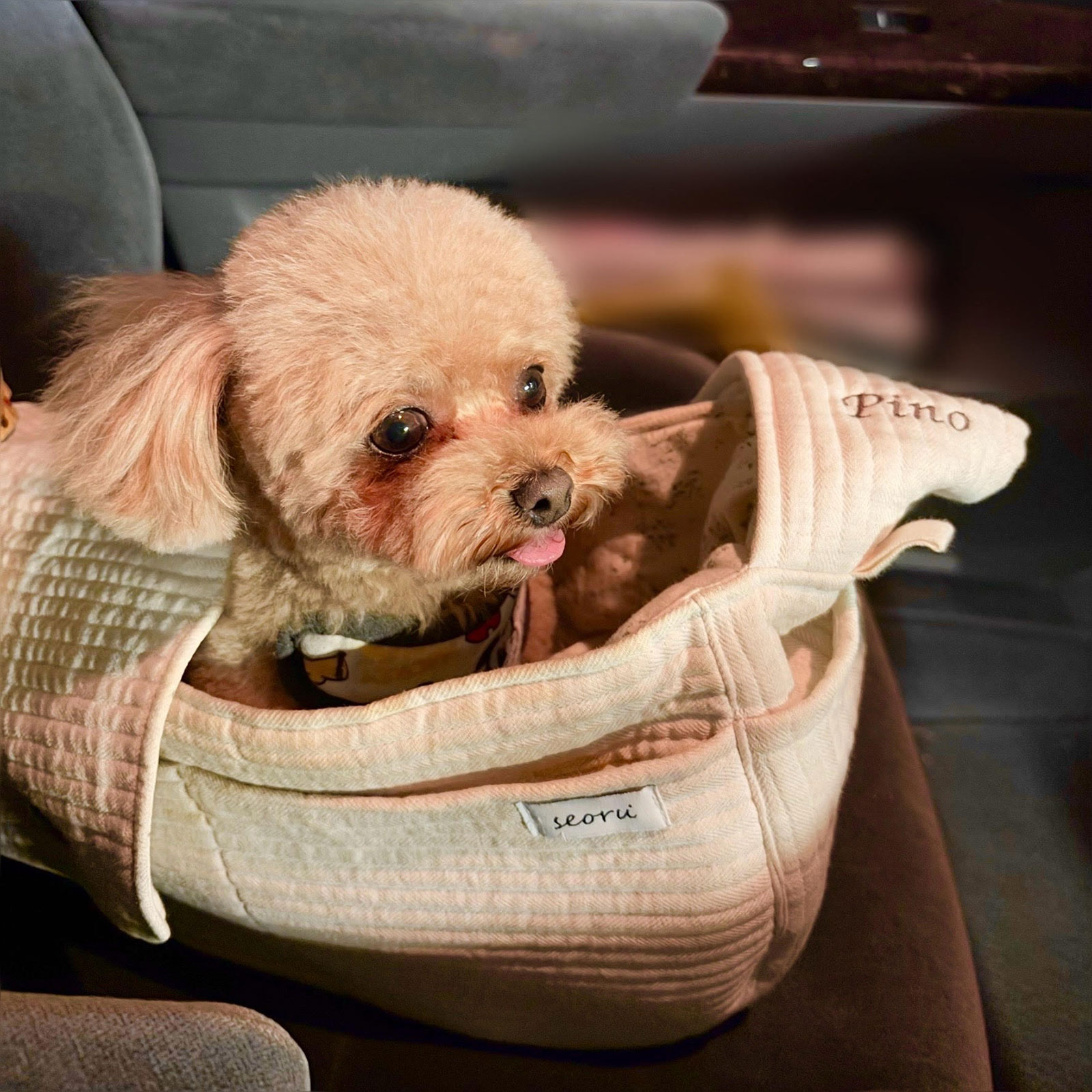 【エッセイ連載】「伊藤美来のmoi!」第15回：教習所のなんだかんだ - 画像一覧（1/2）