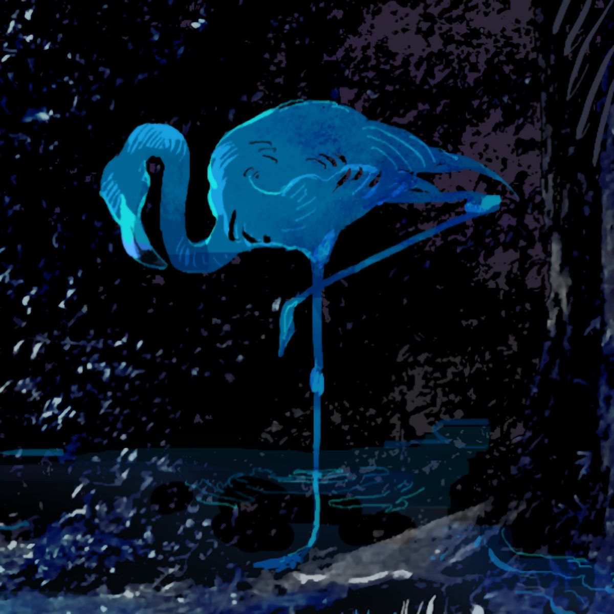 シンガーソングライター/ボカロP・syudou、日本武道館公演のBlu-rayが発売決定！