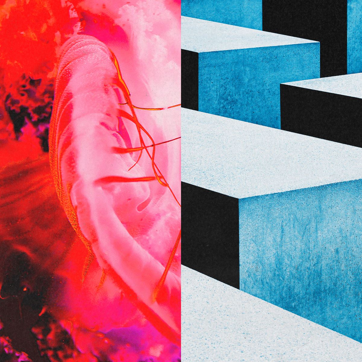 キタニタツヤ、フィーチャリングにBABYMETALを迎えたTVアニメ『地獄楽』第二期OPテーマ「かすかなはな」のCDリリースが3月11日に決定！ - 画像一覧（3/4）