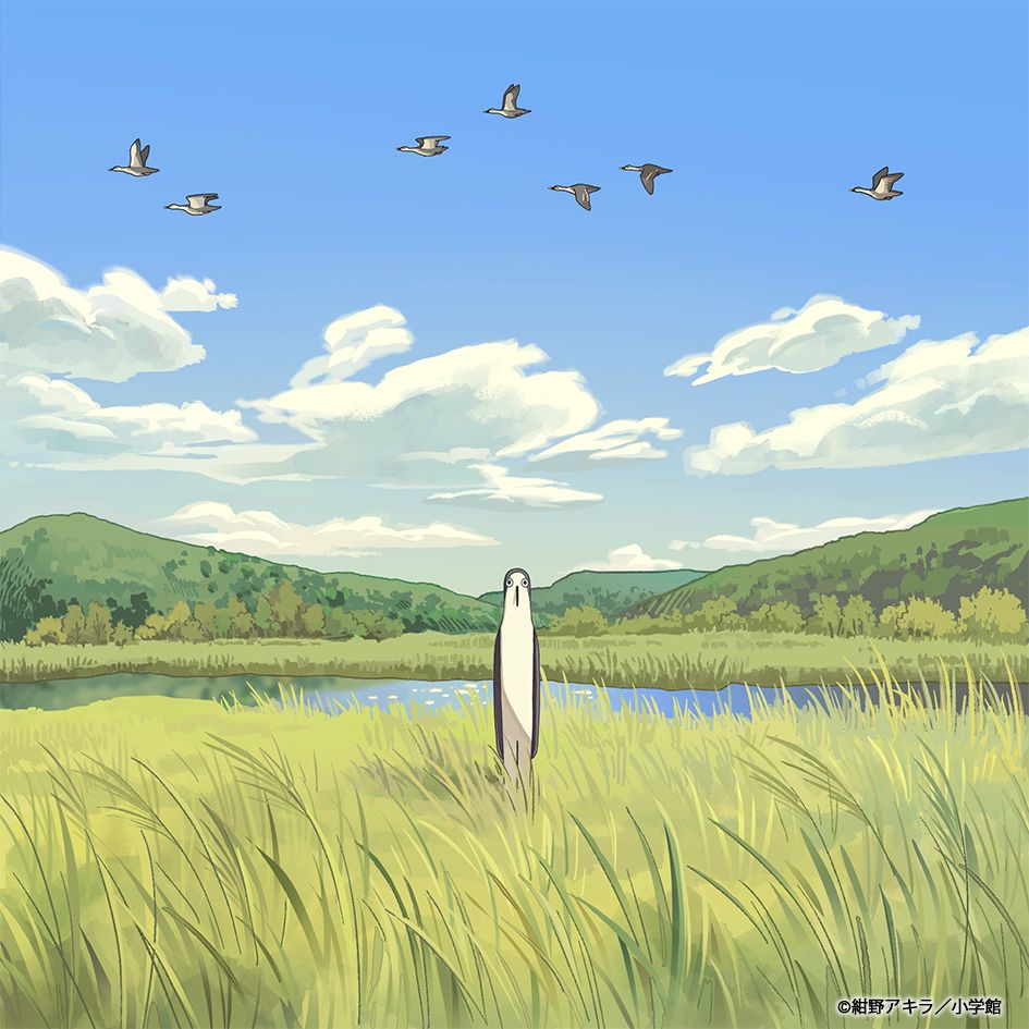 Galileo Galilei、TVアニメ『クジマ歌えば家ほろろ』OPテーマ「木漏れ日坂」CDシングル発売決定＆ジャケットイラスト解禁！ - 画像一覧（4/4）