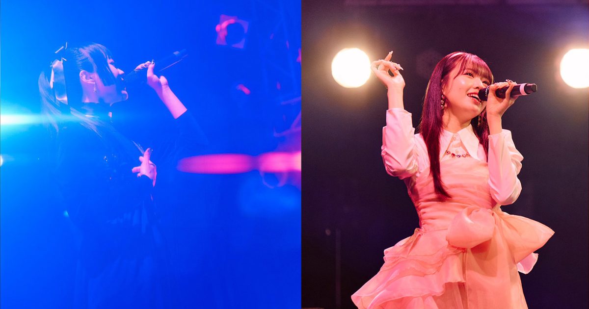 2026.2.26春桜爛漫　カリビアンコンク貝 20260302-haya-140009-1200x630.jpg