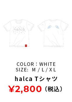 Tシャツ 白色 M,L,XLサイズ 2800円(税込み)