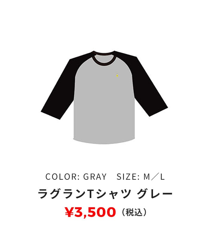 ラグランTシャツ グレー 3,500円（税込）