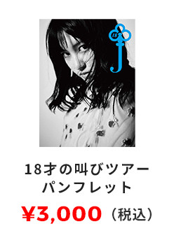 18才の叫びツアーパンフレット 3,000円（税込）