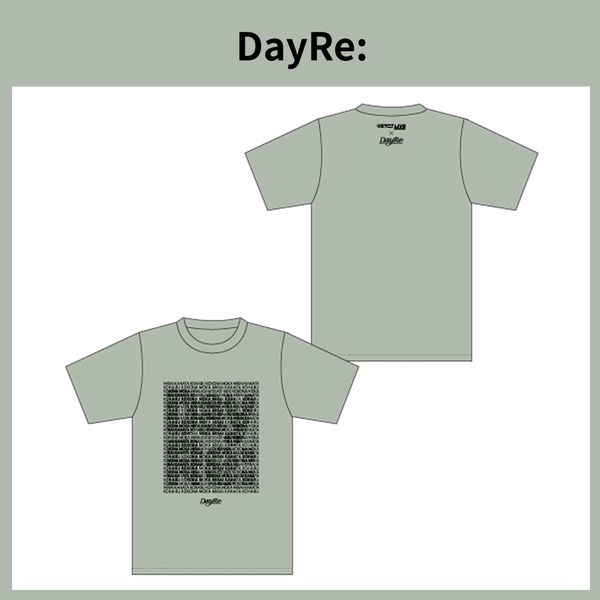 DayRe: